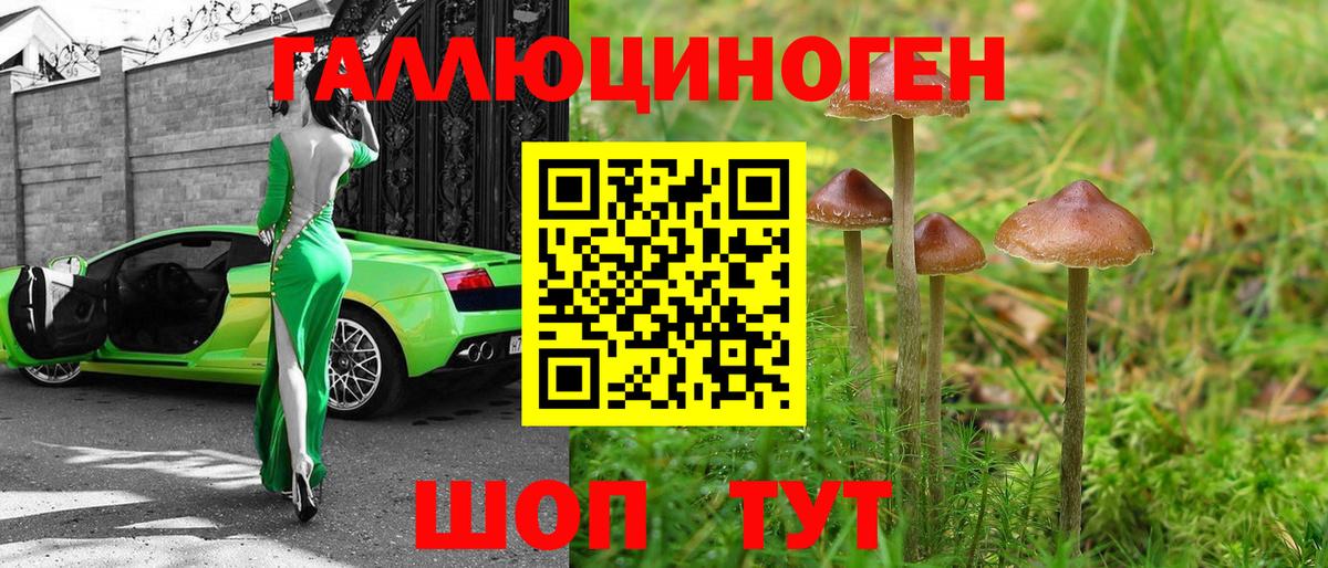 Псилоцибиновые грибы Cubensis  Вход с VPN  Чита  Галлюциногенные грибы мухоморы 