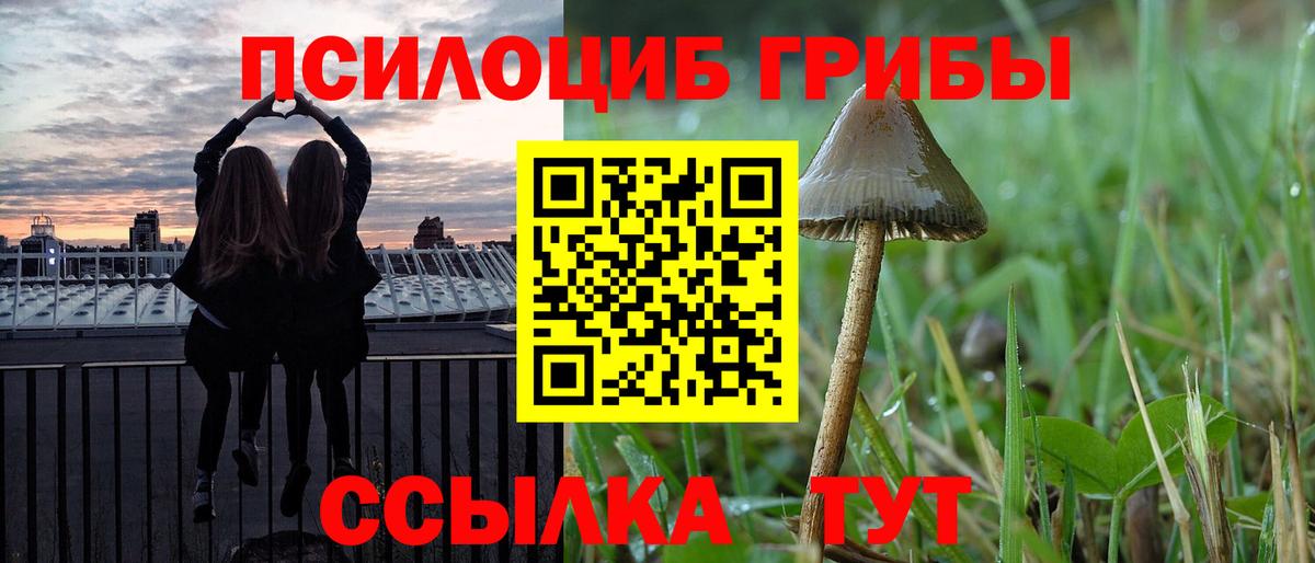 Галлюциногенные грибы Psilocybine cubensis Чита